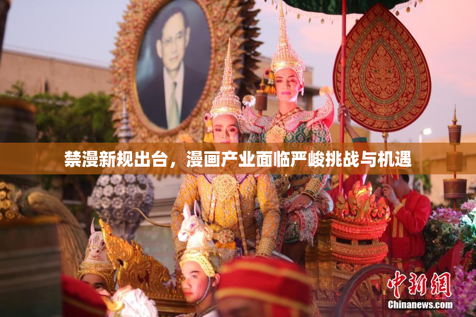 禁漫新规出台，漫画产业面临严峻挑战与机遇