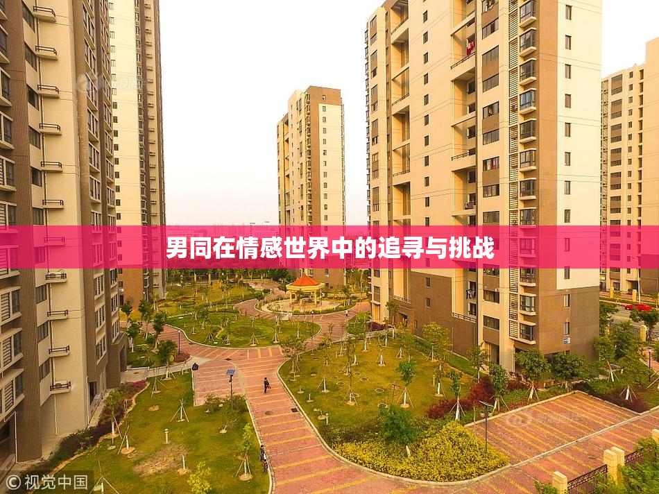 男同在情感世界中的追寻与挑战