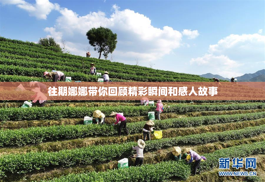 往期娜娜带你回顾精彩瞬间和感人故事