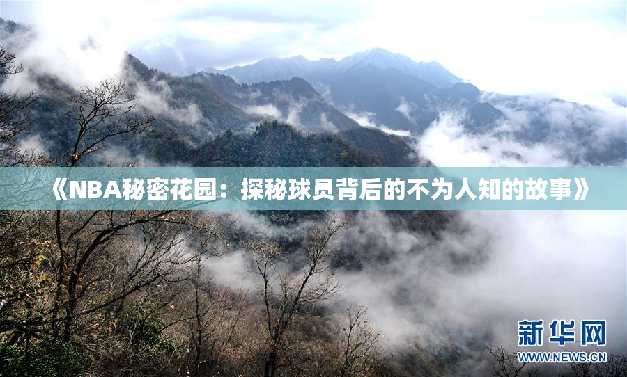 《NBA秘密花园：探秘球员背后的不为人知的故事》