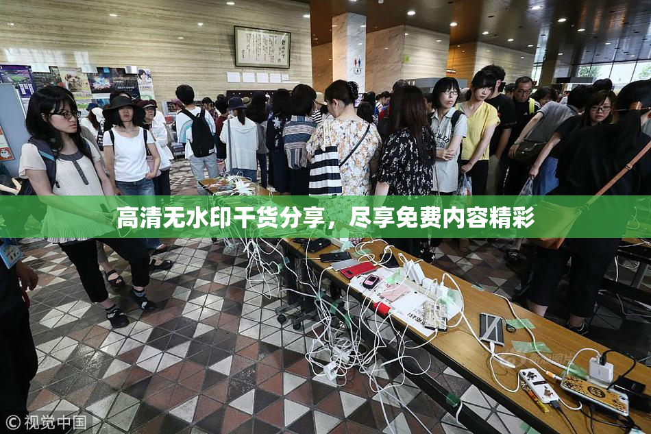 高清无水印干货分享，尽享免费内容精彩