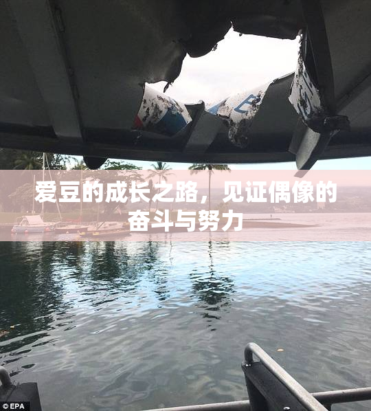 爱豆的成长之路，见证偶像的奋斗与努力