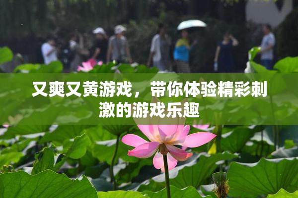 又爽又黄游戏，带你体验精彩刺激的游戏乐趣