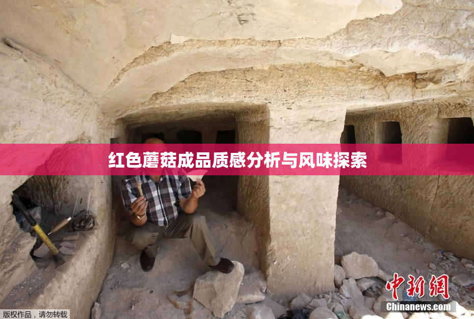 红色蘑菇成品质感分析与风味探索