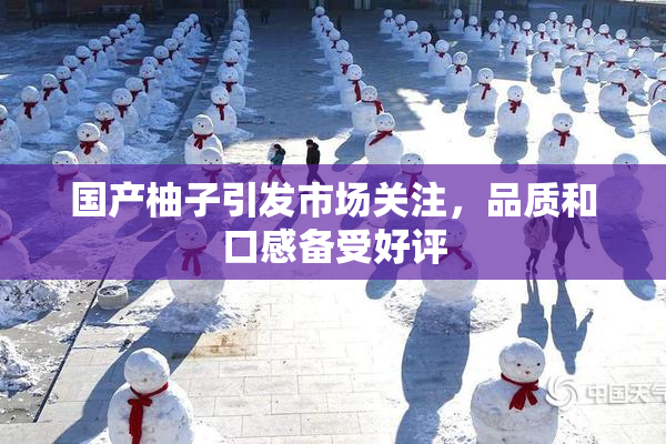 国产柚子引发市场关注，品质和口感备受好评
