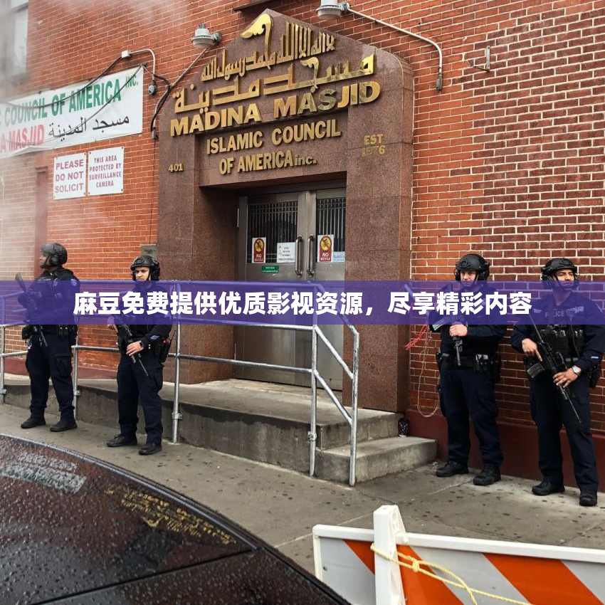 麻豆免费提供优质影视资源，尽享精彩内容