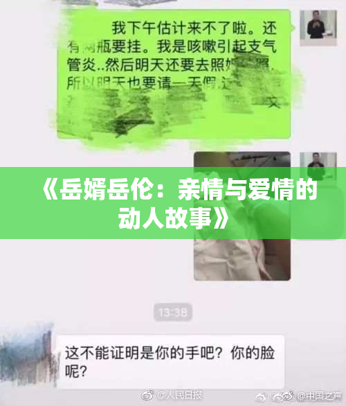 《岳婿岳伦：亲情与爱情的动人故事》