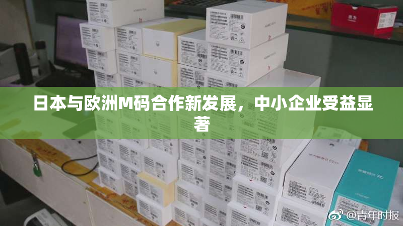 日本与欧洲M码合作新发展，中小企业受益显著