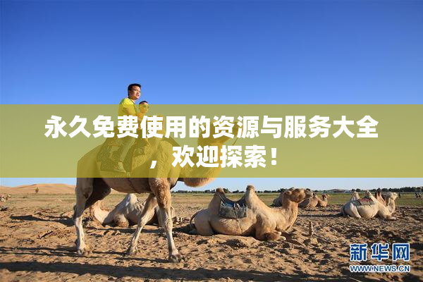 永久免费使用的资源与服务大全，欢迎探索！