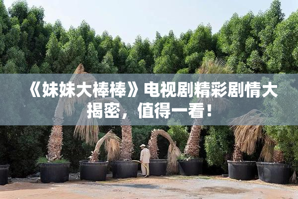 《妹妹大棒棒》电视剧精彩剧情大揭密，值得一看！