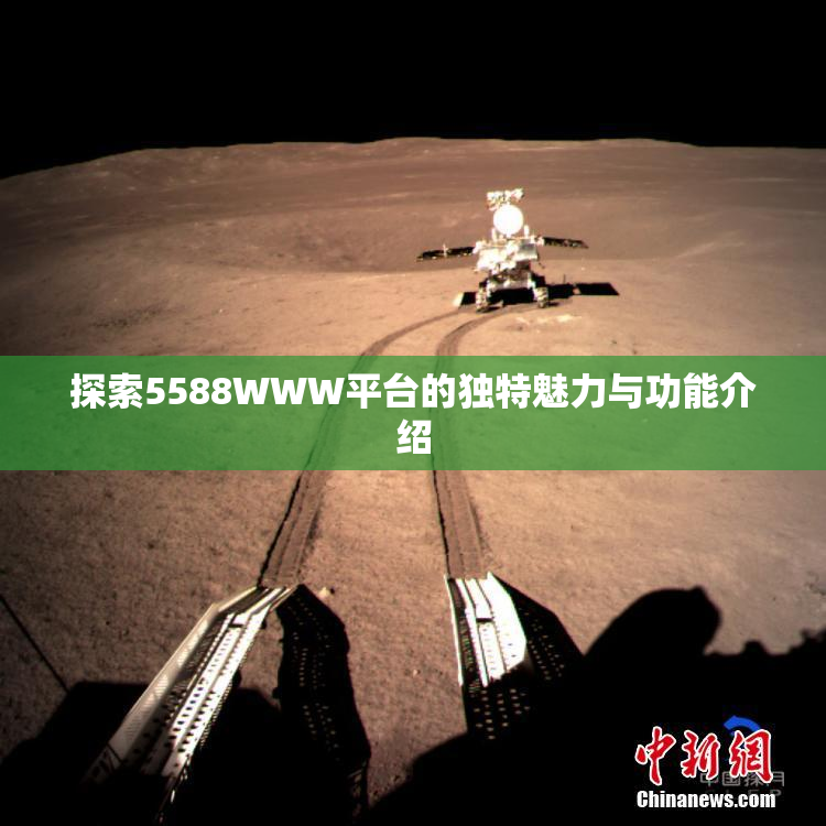 探索5588WWW平台的独特魅力与功能介绍