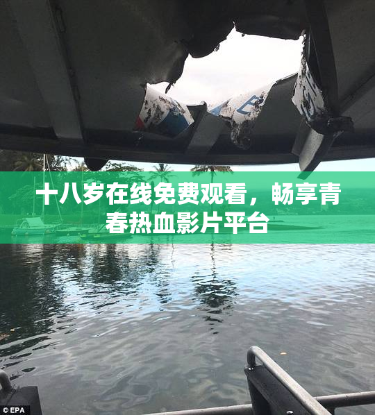 十八岁在线免费观看，畅享青春热血影片平台