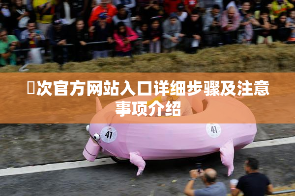 囧次官方网站入口详细步骤及注意事项介绍