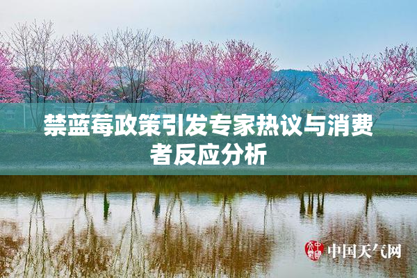 禁蓝莓政策引发专家热议与消费者反应分析