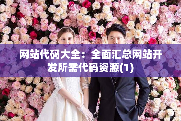 网站代码大全：全面汇总网站开发所需代码资源(1)
