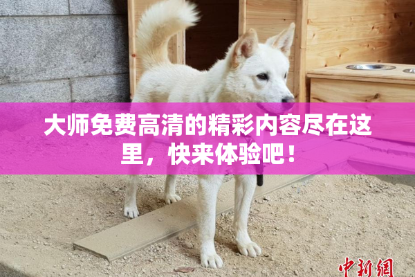 大师免费高清的精彩内容尽在这里，快来体验吧！