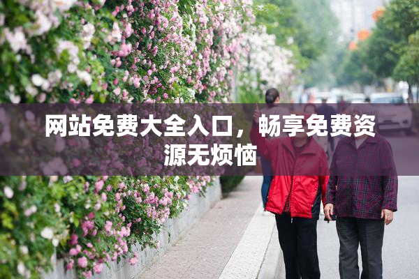 网站免费大全入口，畅享免费资源无烦恼