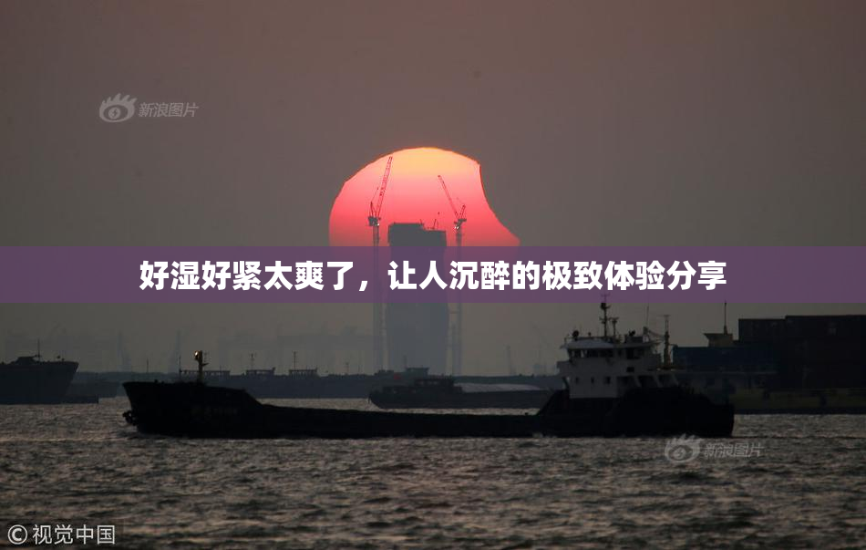 好湿好紧太爽了，让人沉醉的极致体验分享