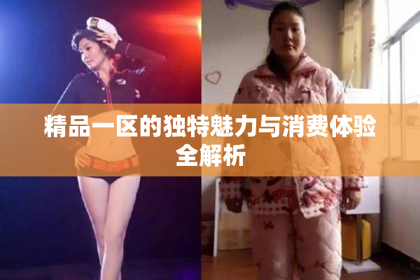 精品一区的独特魅力与消费体验全解析