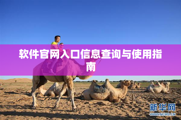 软件官网入口信息查询与使用指南