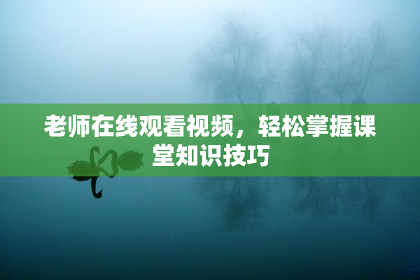 老师在线观看视频，轻松掌握课堂知识技巧