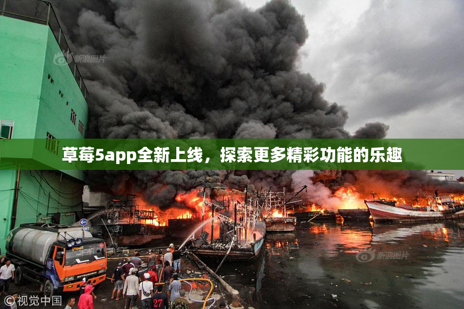 草莓5app全新上线，探索更多精彩功能的乐趣