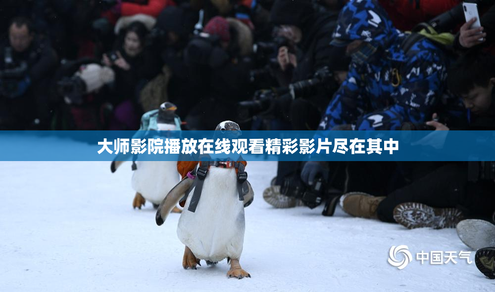 大师影院播放在线观看精彩影片尽在其中