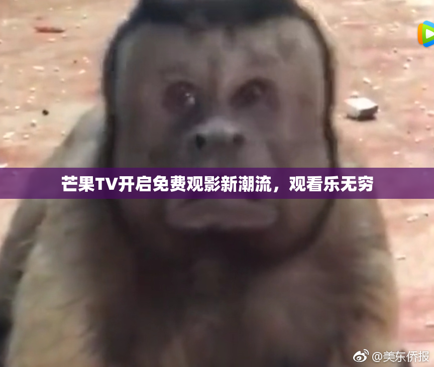 芒果TV开启免费观影新潮流，观看乐无穷