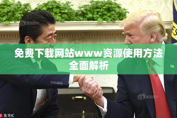 免费下载网站www资源使用方法全面解析