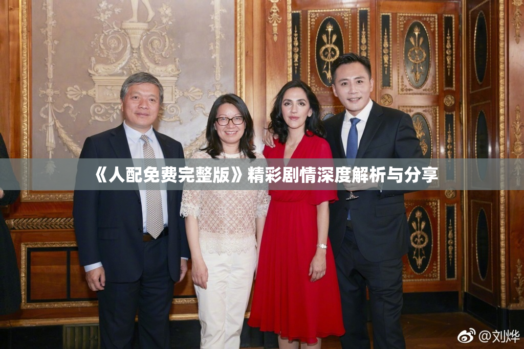 《人配免费完整版》精彩剧情深度解析与分享
