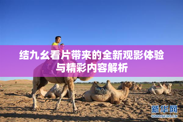 结九幺看片带来的全新观影体验与精彩内容解析