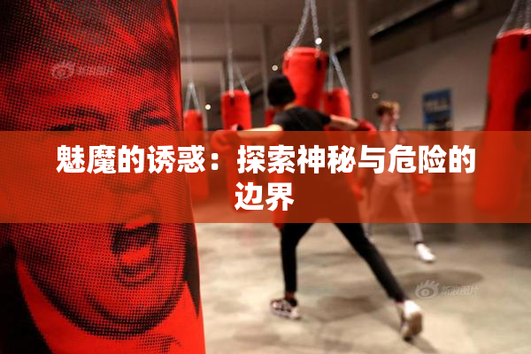 魅魔的诱惑：探索神秘与危险的边界