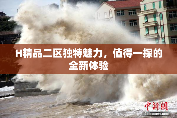 H精品二区独特魅力，值得一探的全新体验