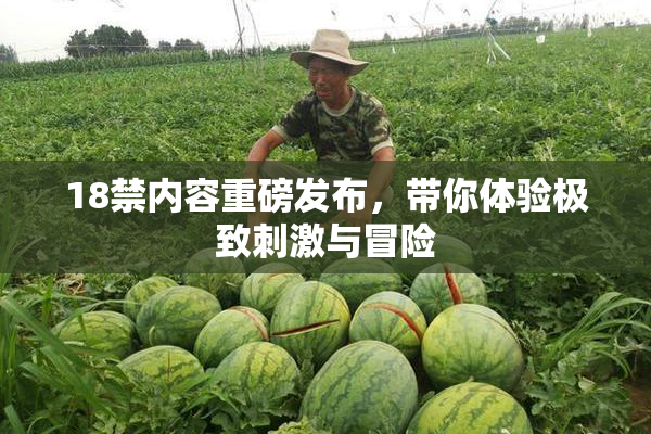 18禁内容重磅发布，带你体验极致刺激与冒险