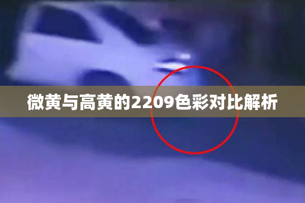 微黄与高黄的2209色彩对比解析