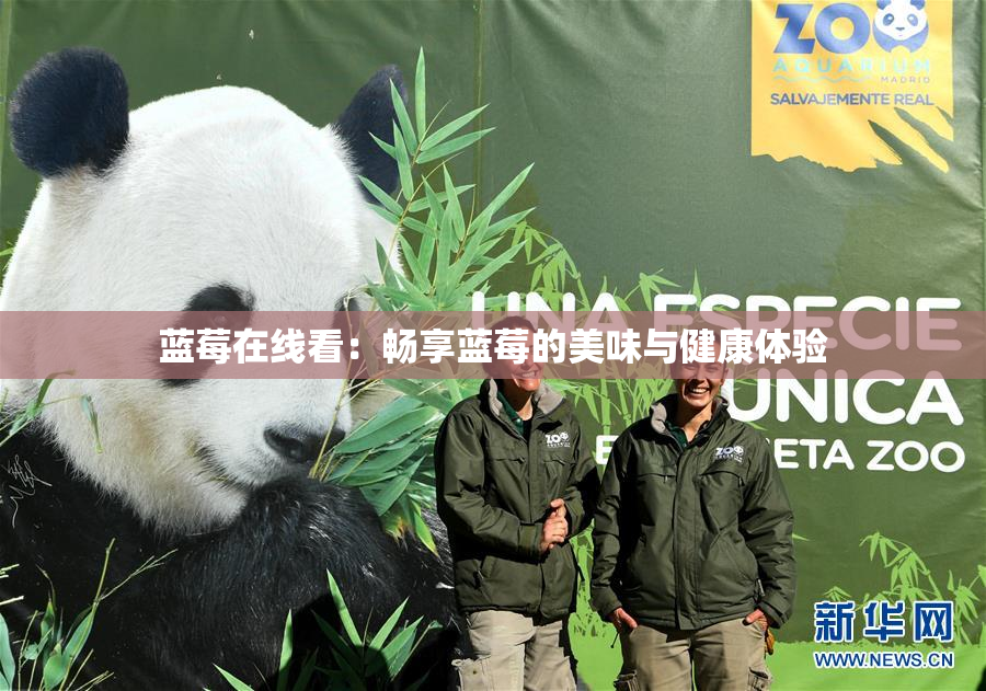 蓝莓在线看：畅享蓝莓的美味与健康体验