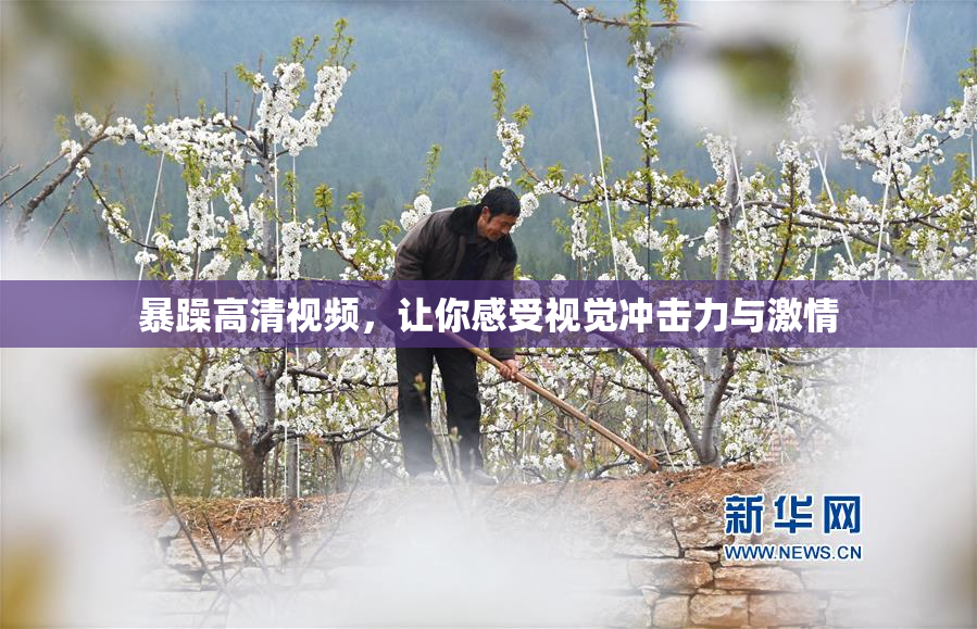 暴躁高清视频，让你感受视觉冲击力与激情