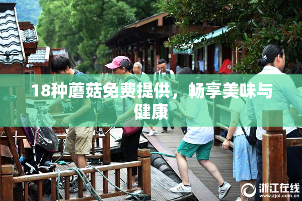 18种蘑菇免费提供，畅享美味与健康
