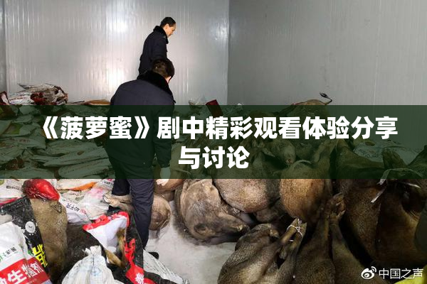 《菠萝蜜》剧中精彩观看体验分享与讨论