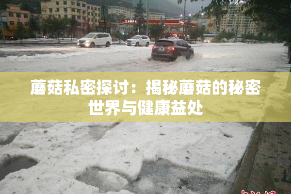 蘑菇私密探讨：揭秘蘑菇的秘密世界与健康益处