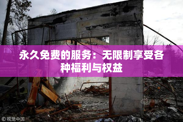 永久免费的服务：无限制享受各种福利与权益