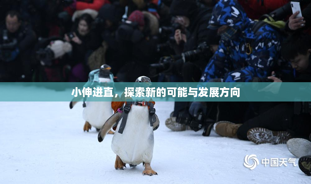小伸进直，探索新的可能与发展方向