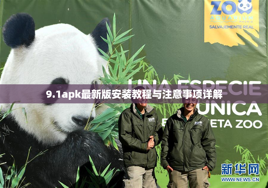 9.1apk最新版安装教程与注意事项详解