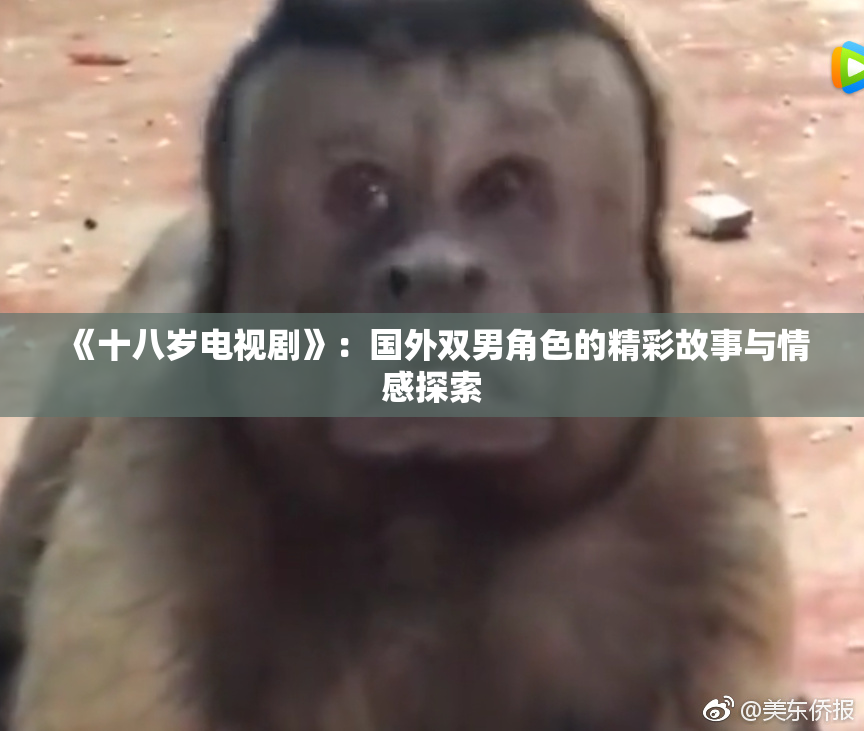 《十八岁电视剧》：国外双男角色的精彩故事与情感探索