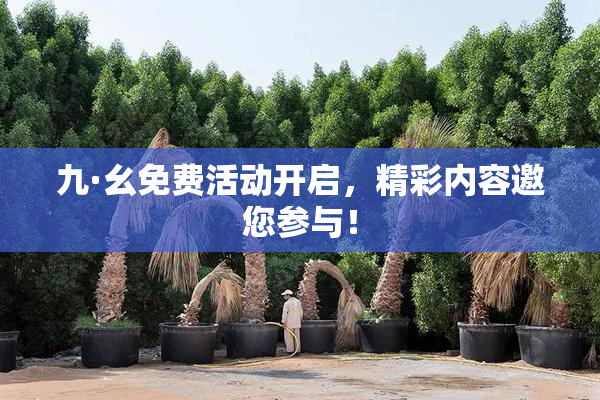 九·幺免费活动开启，精彩内容邀您参与！