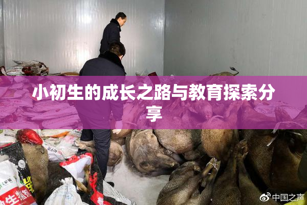 小初生的成长之路与教育探索分享