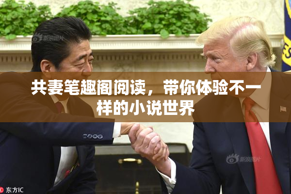 共妻笔趣阁阅读，带你体验不一样的小说世界