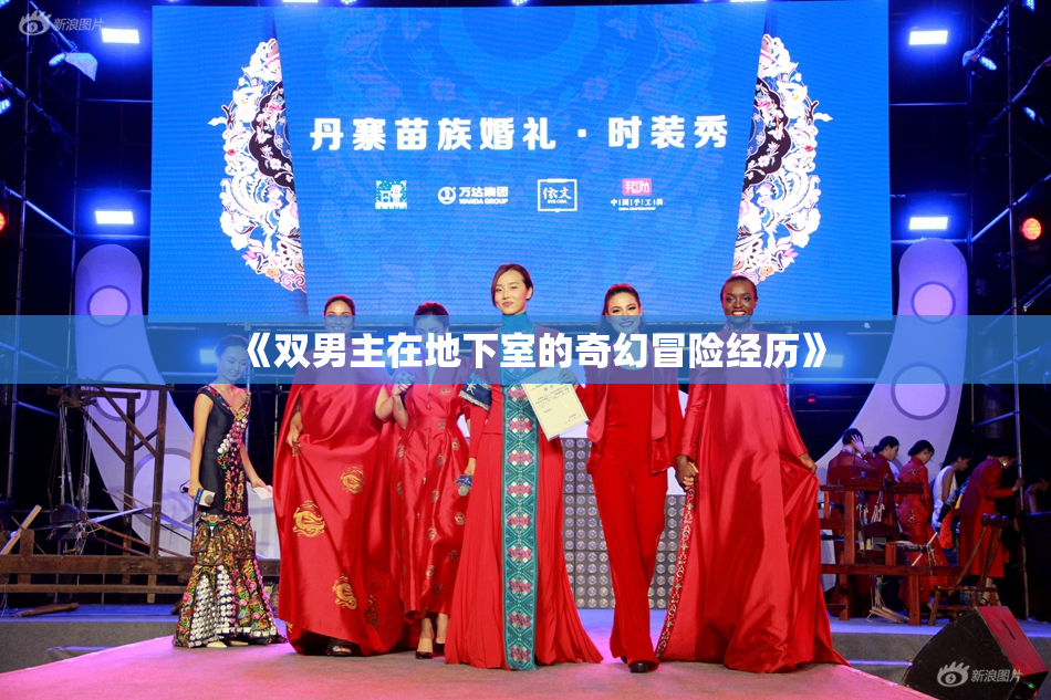 《双男主在地下室的奇幻冒险经历》