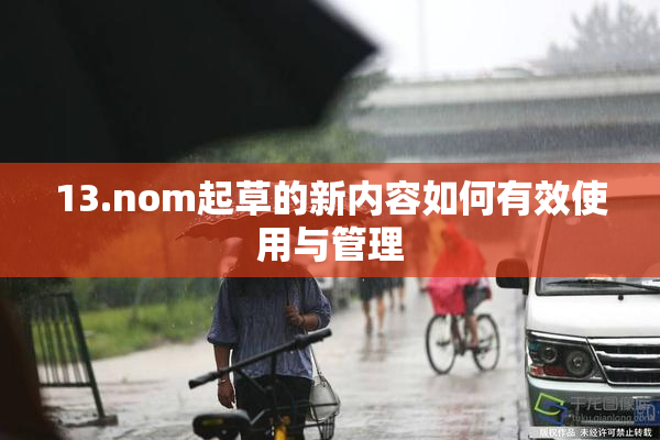 13.nom起草的新内容如何有效使用与管理
