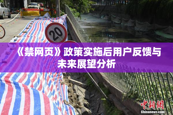 《禁网页》政策实施后用户反馈与未来展望分析
